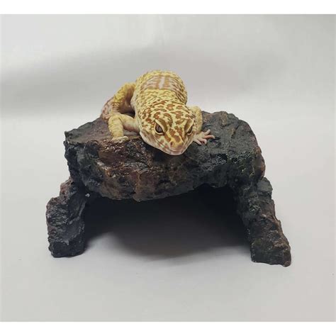 jungle bobs|jungle bobs reptile world locations.